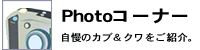 PHOTO�R�[�i�[��