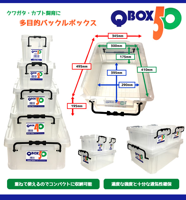クワガタ・カブト飼育に　多目的バックルボックス「Q BOX-50」