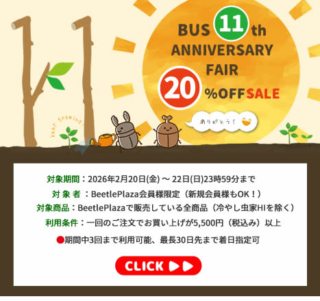 【BUS】BUS11周年記念感謝フェア　20％オフ