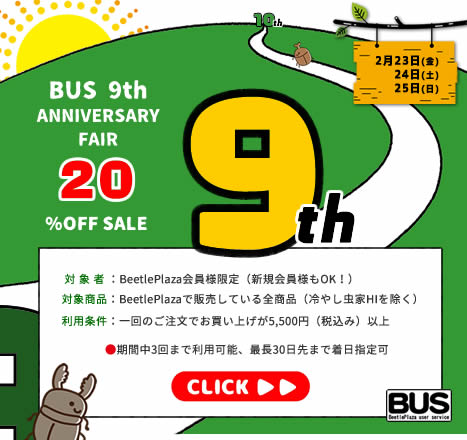 【BUS】BUS9周年記念　20％オフSALE!