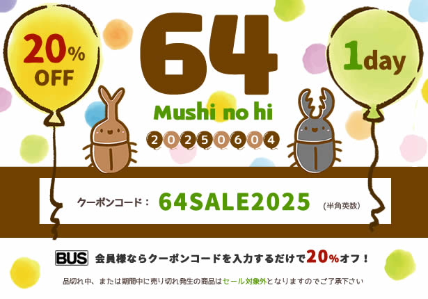 yBUSzu64iނj̓v@20%ItSALEI
