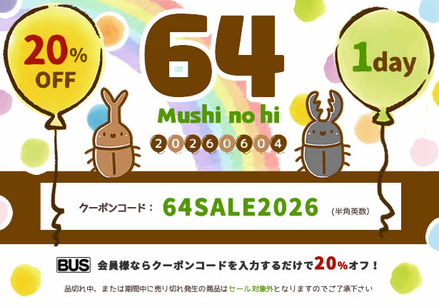 �yBUS�z�u64�i�ނ��j�̓��v�������@20%�I�tSALE�I