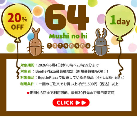 【BUS】「64(むし)の日」会員限定 20%オフSALE!