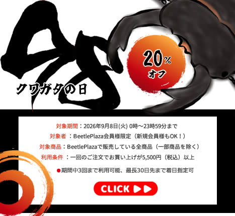 【BUS】クワ(98)ガタの日限定 24時間20%オフSALE!