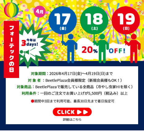 【BUS】「フォーテックの日」会員限定　20%OFFセール！