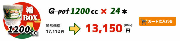 �yBUS�zG-pot�u��BOX�v 1200cc�^24�{