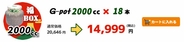 �yBUS�zG-pot�u��BOX�v 2000cc�^18�{