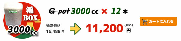 �yBUS�zG-pot�u��BOX�v 3000cc�^12�{