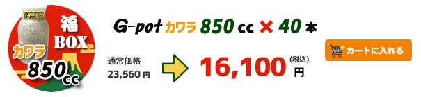 �yBUS�zG-pot�u��BOX�v �J����850cc�^40�{