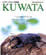 KUWATA No.15
