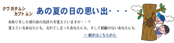 あの夏の日の思い出・・　クワカブ飼育の本当のおもしろさは幼虫飼育にあった！？