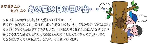 クワガタムシ・カブトムシ　あの夏の日の思い出  虫とりをした頃のあの気持ちを覚えていますか・・・？覚えているあなたも忘れてしまったあなたにも、そして経験のないあなたにも、成虫だけでなく「幼虫」を育てる楽しさを、さらに大切に育てた幼虫がさなぎになり、羽化するまでの過程でどれだけの感動を私たちに与えてくれるのかという事を、できるだけ多くの人に伝えていきたい。そう願っています。