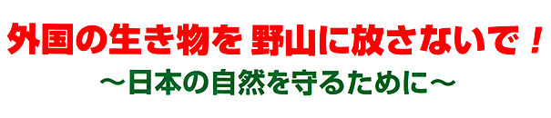 外国の生き物を野山に放さないで～日本の自然を守るために～