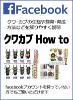 facebookアカウントを持っていない方でも楽しめる！【クワカブHow to】クワカブに関する情報満載です！