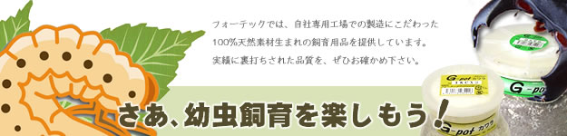 幼虫から育ててみようよ！～見るだけから育てる楽しみへ、幼虫飼育のご提案～