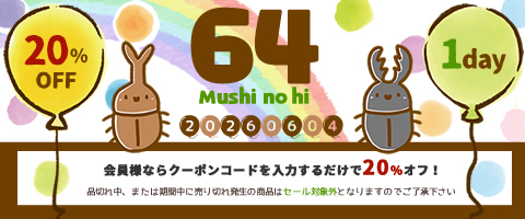 【BUS】「64（むし）の日」会員限定　20%オフSALE！