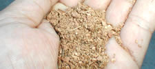 G-potのオガ粉は国産生クヌギ100%