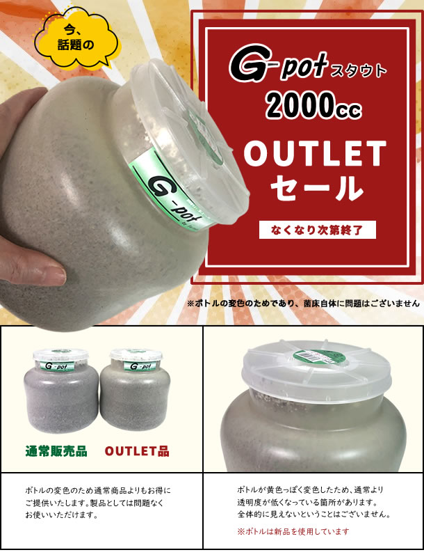 【OUTLET品】G-potスタウト2000cc販売中！