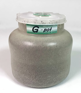 【OUTLET品】G-potスタウト2000cc販売中！