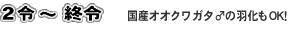 2令～終令向き　国産オオクワガタ♂の羽化もOK!