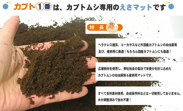 カブト一番は、カブトムシ専用のえさマットです。広葉樹材を使用し、弊社独自の製法で栄養分を封じ込めました。全て自然素材使用、合成保存料などは一切使用しておりません。水分調整済みなので加水不要！到着後すぐに使えます。