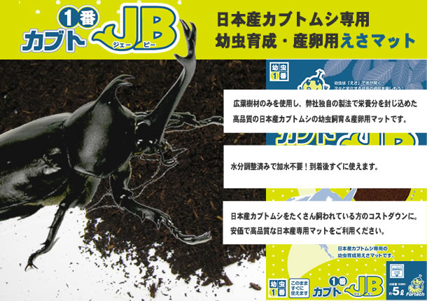 カブト1番JB