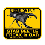 BEETLE FREAK in CAR【ステッカー】