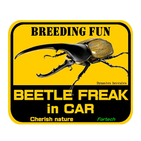 【Fortechオリジナルステッカー】　BEETLE FREAK in CAR