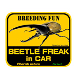 BEETLE FREAK in CAR【ステッカー】