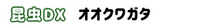 ぷちまる　昆虫DX　オオクワガタ