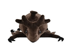 ぷちまる　昆虫キングカブトバトルLMC　ノコギリクワガタ