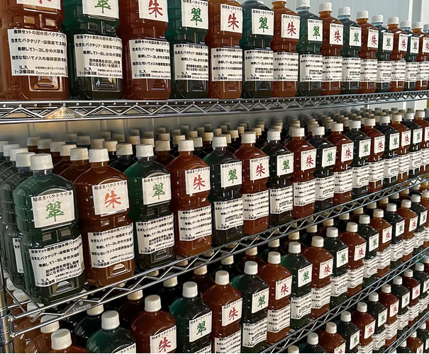 [Dorcus Academy]超濃度バクテリア液【朱】【翠】