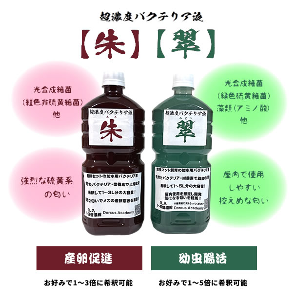 [Dorcus Academy]超濃度バクテリア液【朱】【翠】