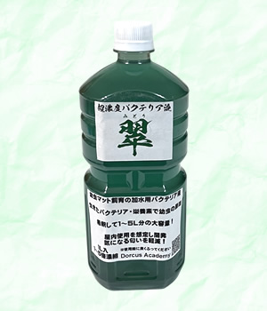 [DorcusAcademy]超濃度バクテリア液【朱】