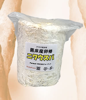 [DorcusAcademy]超濃度バクテリア液【朱】