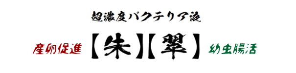 [DorcusAcademy]超濃度バクテリア液【朱】【翠】