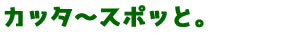 [こんちゅ]カッタ～スポッと。