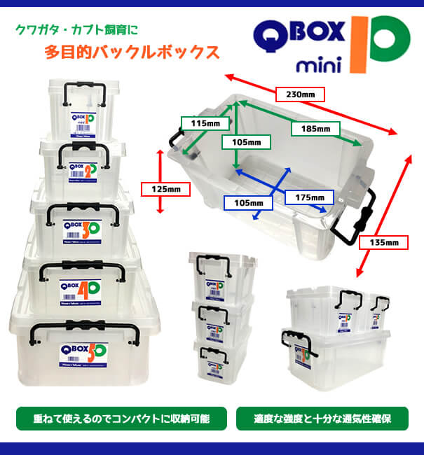 クワガタ・カブト飼育に　多目的バックルボックス「Q BOX-10（mini）」