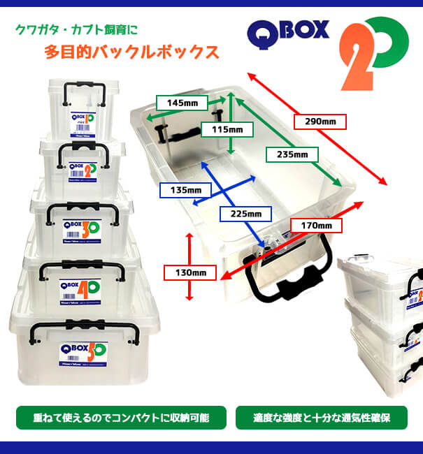 クワガタ・カブト飼育に　多目的バックルボックス「Q BOX-20」