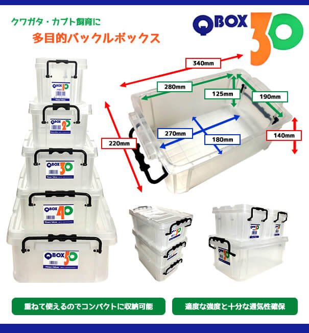 クワガタ・カブト飼育に　多目的バックルボックス「Q BOX-30」