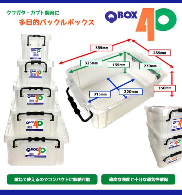 クワガタ・カブト飼育に　多目的バックルボックス「Q BOX-40」