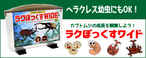 ヤマイネ　見える観察ケース　ラクぼっくすワイド