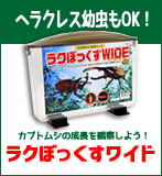 ヤマイネ　見える観察ケース　ラクぼっくすワイド