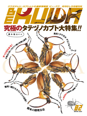 BE-KUWA　クワガタ・カブト専門誌