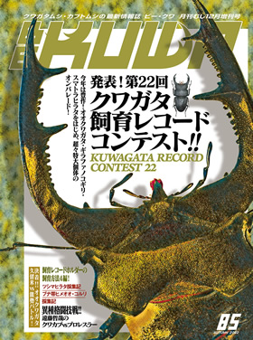 BE-KUWA　クワガタ・カブト専門誌