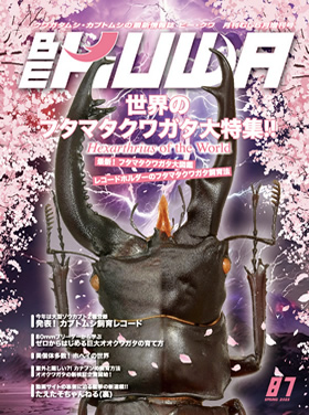 BE-KUWA　クワガタ・カブト専門誌