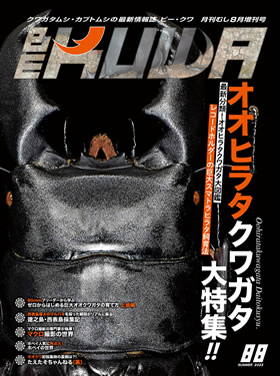 BE-KUWA　クワガタ・カブト専門誌