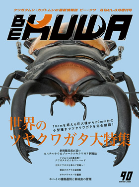 BE-KUWA　クワガタ・カブト専門誌