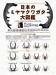 BE-KUWA (ビークワ）