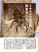 BE-KUWA (ビークワ）